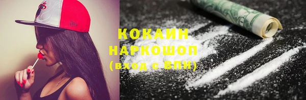 spice Богданович