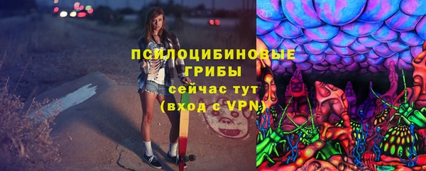 spice Богданович