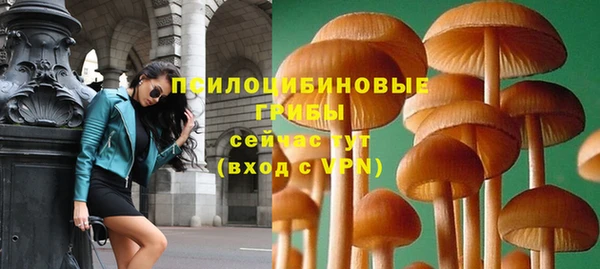 мдма Богородицк